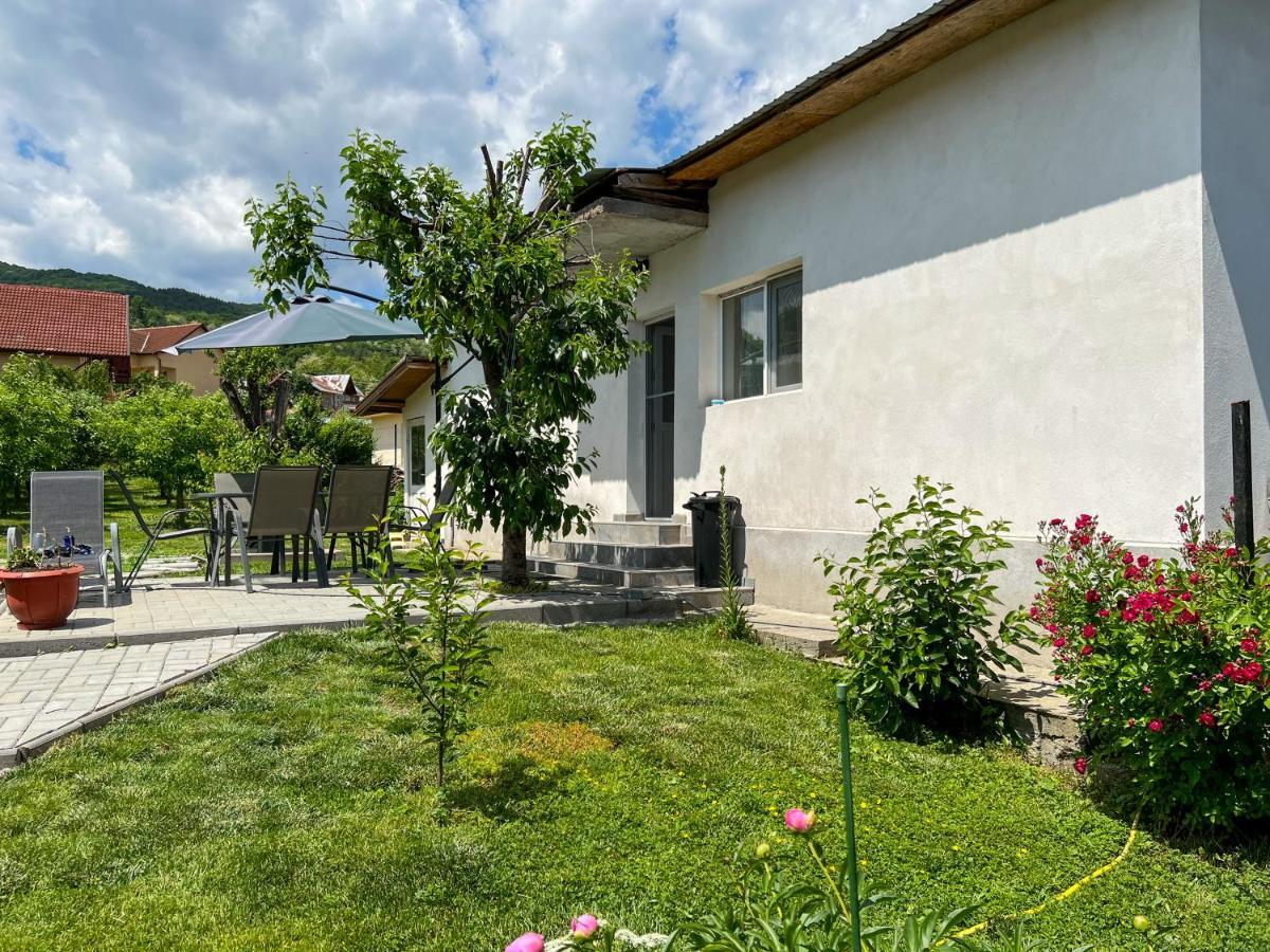 Casuta De Vacanta Villa Călimăneşti Exteriör bild